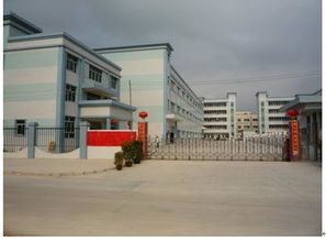 精準(zhǔn)計(jì)量，品質(zhì)先行——廣州市上博電子衡器與儀器儀表銷售服務(wù)